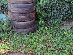 Freecycle 5 old car tires