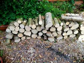 Freecycle Logs