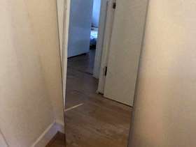 Freecycle Floor Mirror