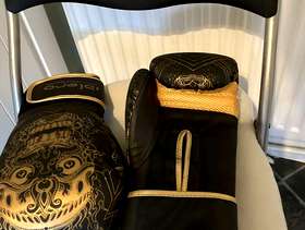 Freecycle Boxing gloves 160z
