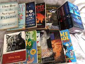 Freecycle Teen/young adult books.