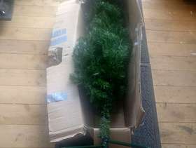 Freecycle Christmas Tree