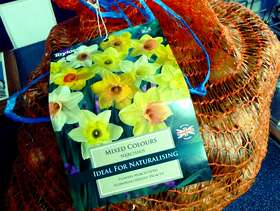 Freecycle Sack of Narcissus