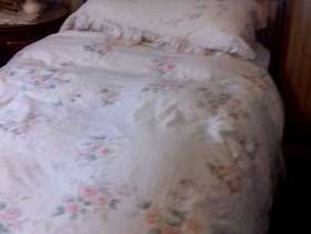 Freecycle Single bed