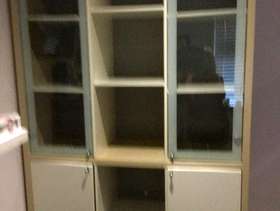 Freecycle IKEA Magicker Storage Unit