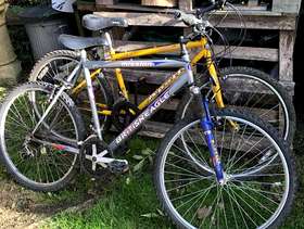Freecycle 2 bikes