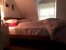 Freecycle Double pine bed