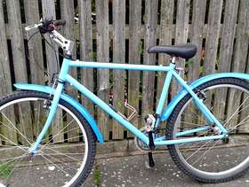 Freecycle A blue bike