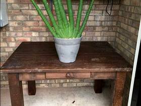 Freecycle Wood table and exotic plant