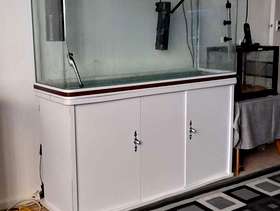 Freecycle 300L fish tank