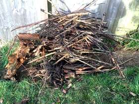Freecycle Kindling