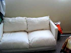 Freecycle Sofa bed