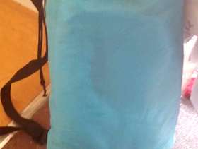 Freecycle Inflatable chair/lounger