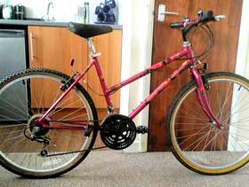 Freecycle Bicycle in very good working order £25