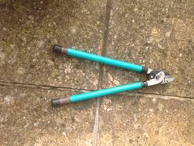 Freecycle Branch Loppers