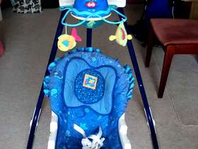 Freecycle Baby swing seat