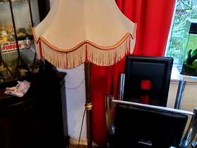Freecycle Floor Lamp