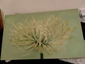 Freecycle Green flower canvas