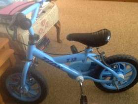 Freecycle Childs Bicycle