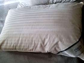 Freecycle 4 Goose Down & Feather Pillows