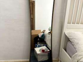 Freecycle Full length mirror