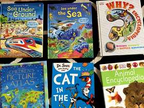 Freecycle Bundle of children's books