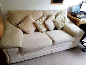 Freecycle Cream sofa