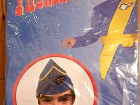 Freecycle Thunderbird costume