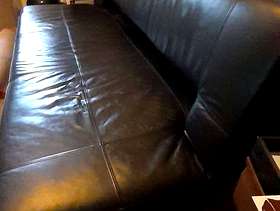 Freecycle Leather Sofa bed
