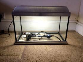 Freecycle Tropical aquarium