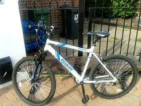 Freecycle Bike