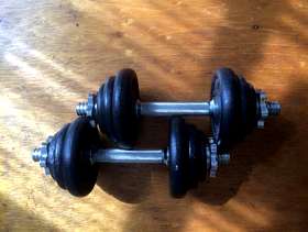 Freecycle Dumbells