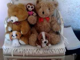 Freecycle Two large cuddly bears and 3 smaller toys