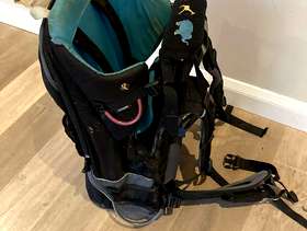Freecycle Carrier / Rucksack for toddlers