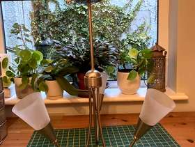 Freecycle Ceiling light fittings