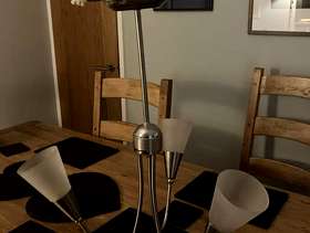Freecycle 2 ceiling light fittings