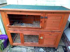 Freecycle Guinea pig hutch