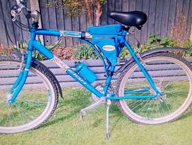 Freecycle Adult cycle