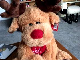 Freecycle Ruby the reindeer