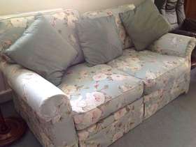 Freecycle Sofa