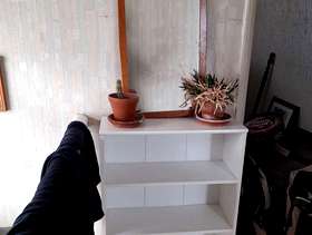 Freecycle Small bookcase and wood surround mirror.