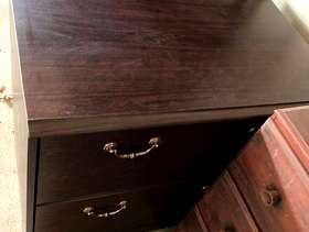 Freecycle Double Width File Cabinet