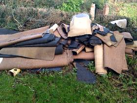 Freecycle Used carpet (hissen backing)