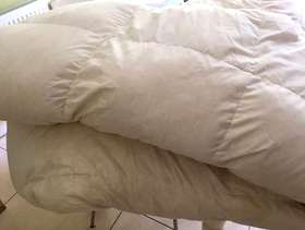 Freecycle Down topper for double bed