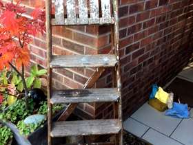 Freecycle Wooden step ladder