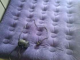 Freecycle Double airbed and Inflator