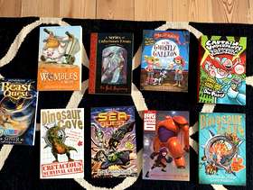 Freecycle Bundle of children's fiction books