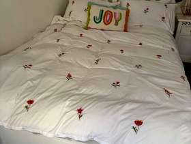 Freecycle Double Bed and Mattresss