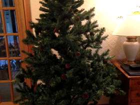 Freecycle Xmas tree