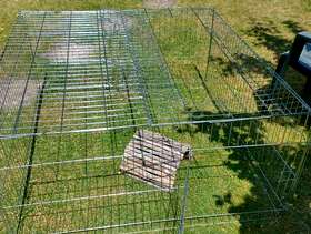 Freecycle Rabbit or guinea pig run